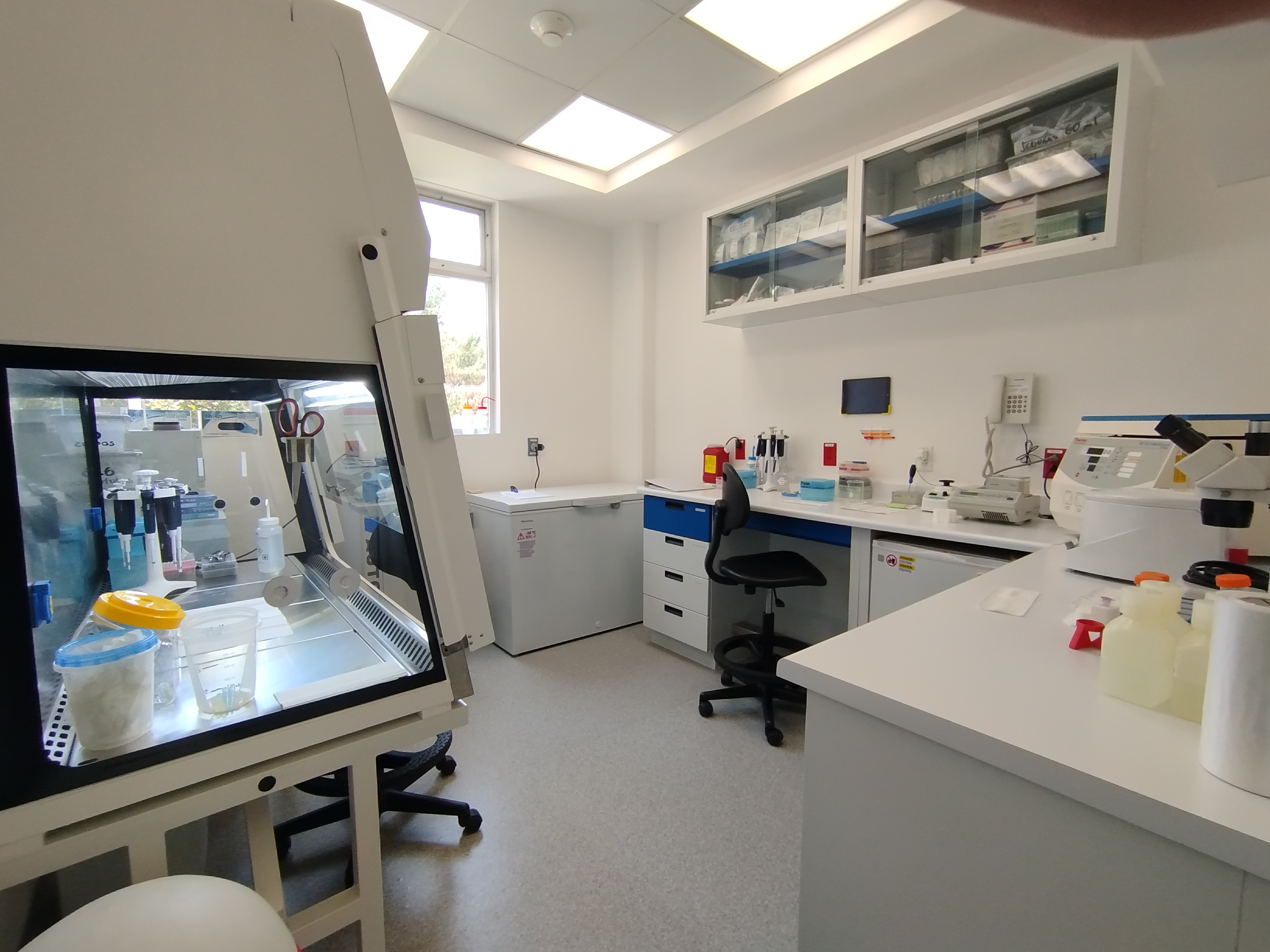 LGVH Laboratory Facilities