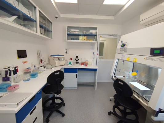 CellBio02