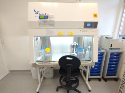 CellBio_BSC