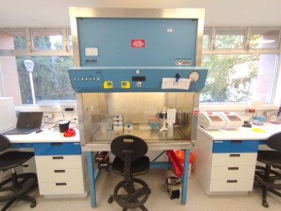 Molbio_BSC