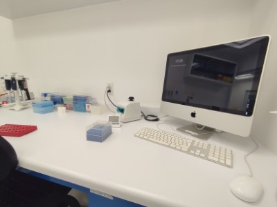 RT-PCR_2