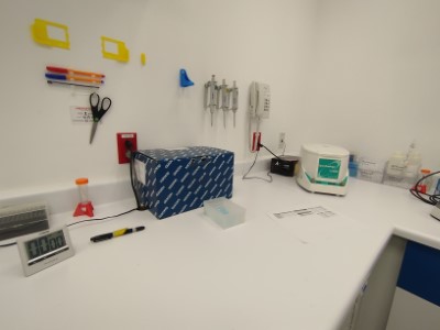 RT-PCR_3